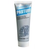Паста уплотнительная Pastum H20 70гр. фото в интернет-магазине ОВКМ