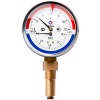 Термоманометр 80мм*1/2" (радиальный) РОСМА  фото в интернет-магазине ОВКМ